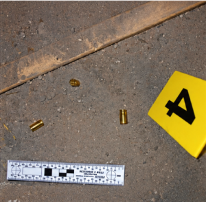 Digital Crime Scene Photography CEU